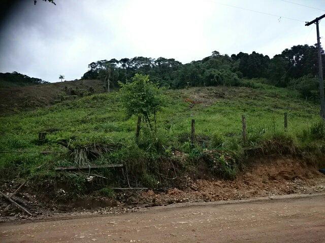 #08029_4 - Área para Venda em Almirante Tamandaré - PR