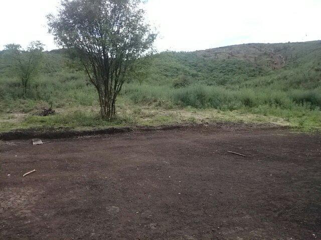 Área para Venda em Almirante Tamandaré - 5