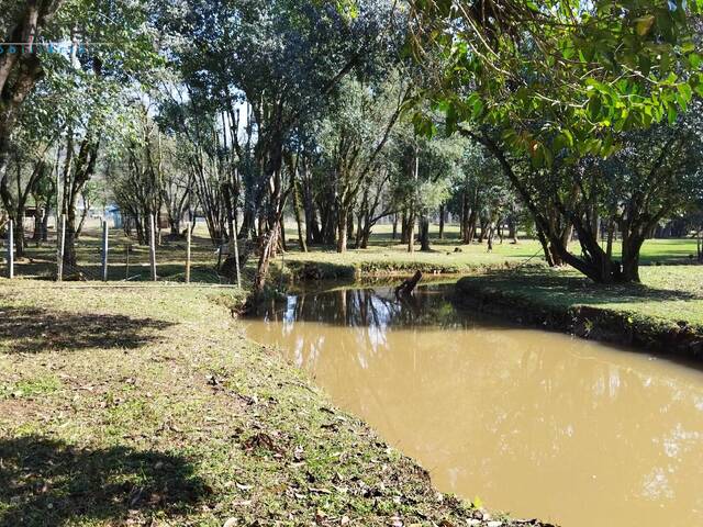 #08142 - Chácara para Venda em Campo Magro - PR - 2