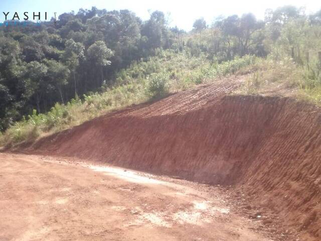 #08119 - Chácara para Venda em Campo Magro - PR - 3