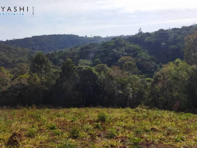 Chácara para Venda em Campo Largo - 4