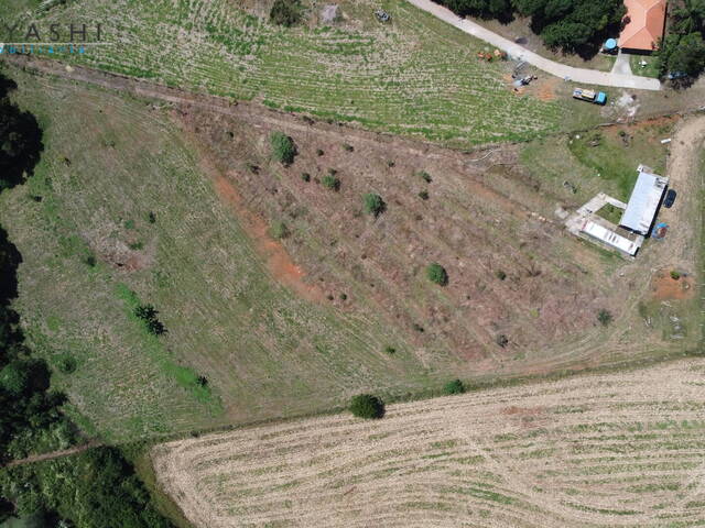 Chácara para Venda em Araucária - 5