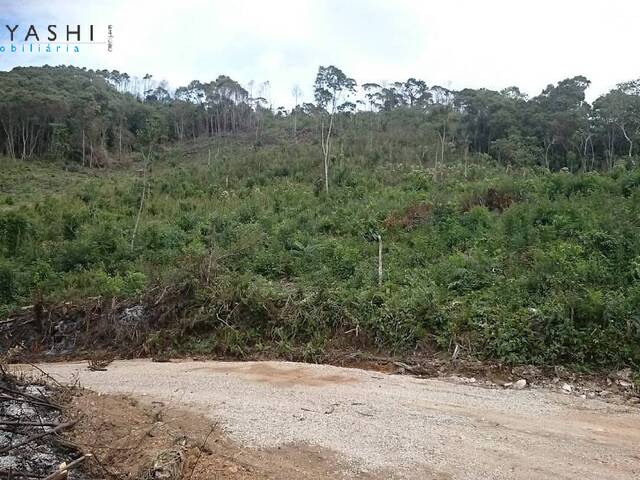 #08111_4 - Chácara para Venda em Almirante Tamandaré - PR - 2