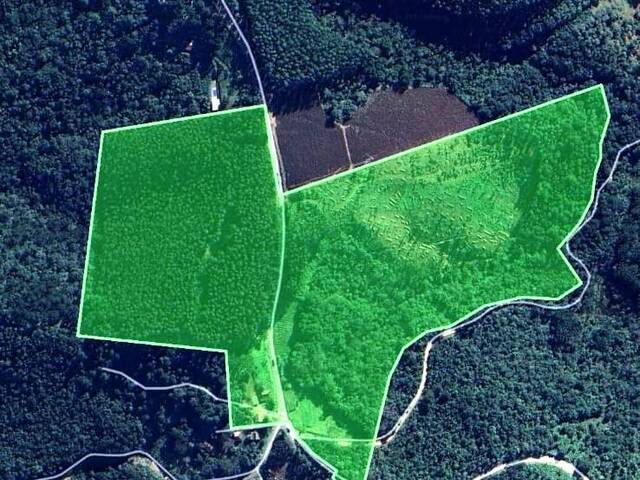 #08187 - Chácara para Venda em Campo Magro - PR