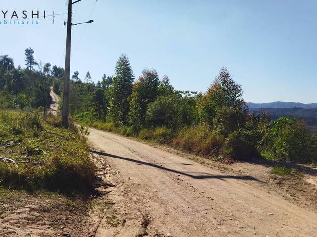 #08184-5 - Chácara para Venda em Campo Largo - PR - 2