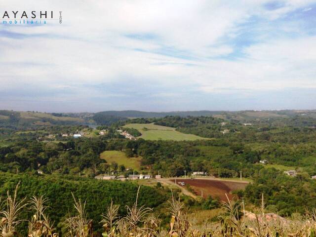 Chácara para Venda em Almirante Tamandaré - 4