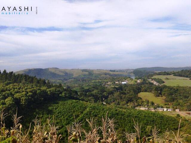 #08199 - Chácara para Venda em Almirante Tamandaré - PR