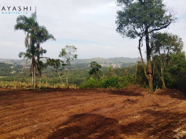 #08199 - Chácara para Venda em Almirante Tamandaré - PR