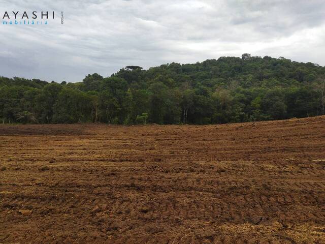 #08204 - Chácara para Venda em Almirante Tamandaré - PR