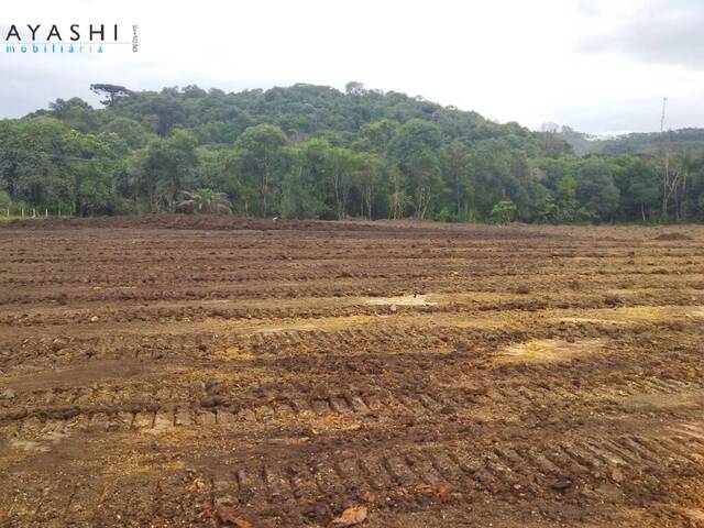 Chácara para Venda em Almirante Tamandaré - 5