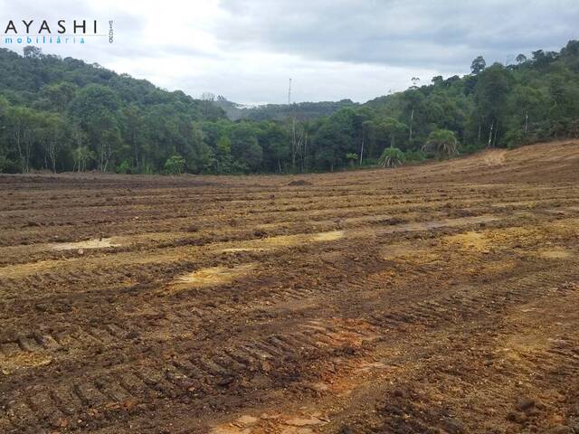 Chácara para Venda em Almirante Tamandaré - 4