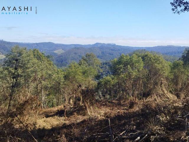 Chácara para Venda em Campo Magro - 4