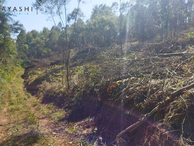 Venda em Freguesia - Campo Magro