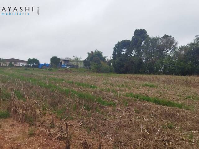 Área para Incorporação para Venda em Campo Largo - 5