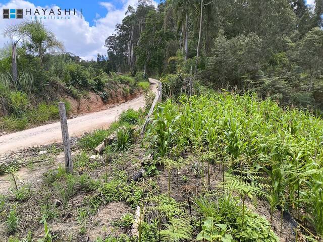 Chácara para Venda em Campo Largo - 5
