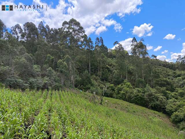 Venda em Bateias - Campo Largo
