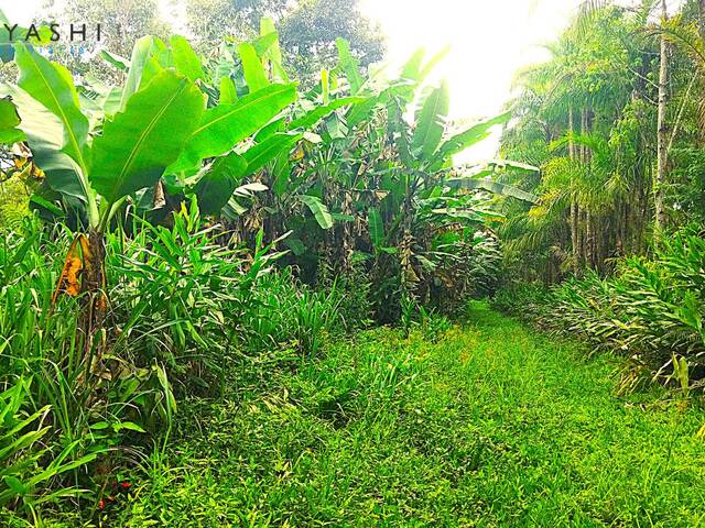 Chácara para Venda em Paranaguá - 4