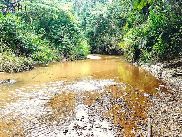 #08208 - Chácara para Venda em Paranaguá - PR - 2