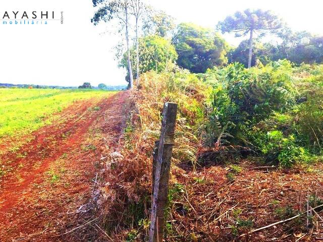 #08211 - Chácara para Venda em Campo Largo - PR - 3