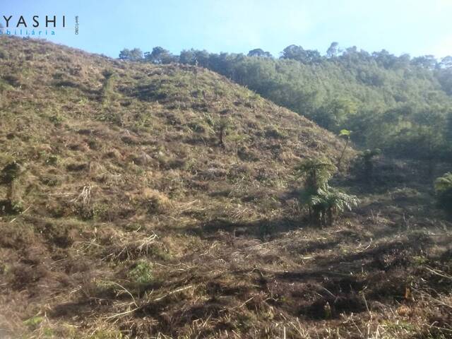 #08029_5 - Chácara para Venda em Almirante Tamandaré - PR - 3