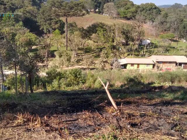 Chácara para Venda em Almirante Tamandaré - 5