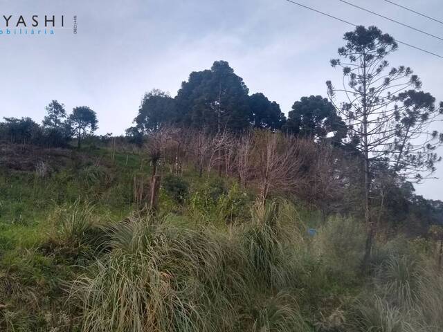 Chácara para Venda em Almirante Tamandaré - 4