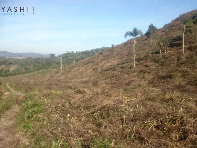 #08029_5 - Chácara para Venda em Almirante Tamandaré - PR - 2