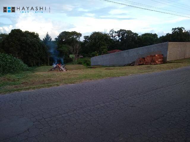 #08108_1 - Chácara para Venda em Balsa Nova - PR - 2