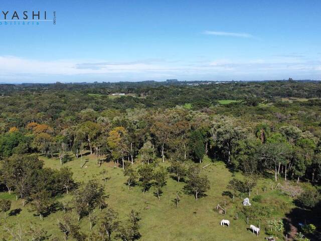 Chácara para Venda em São José dos Pinhais - 4