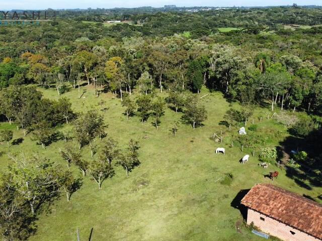 Chácara para Venda em São José dos Pinhais - 5