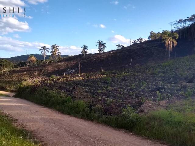 #08111_4 - Chácara para Venda em Almirante Tamandaré - PR - 1