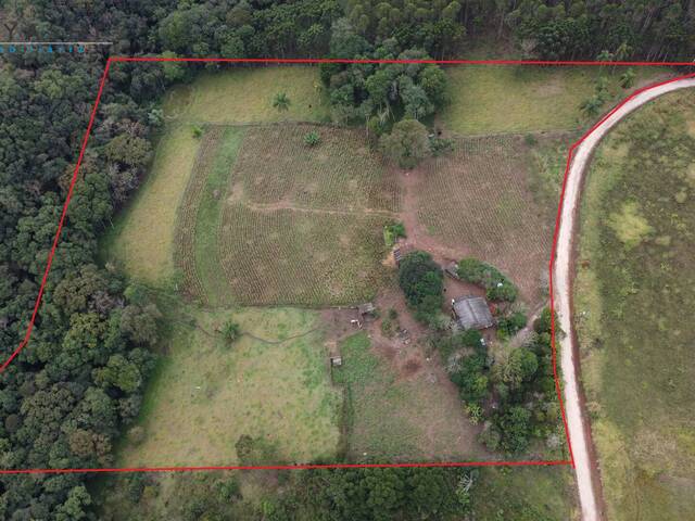 Chácara para Venda em Campo Largo - 4