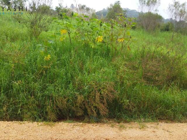 #01093_2 - Terreno para Venda em Rio Branco do Sul - PR - 1