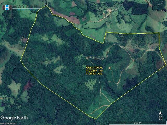 #018014 - Fazenda para Venda em Castro - PR - 1