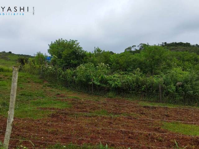 #08152 - Chácara para Venda em Almirante Tamandaré - PR - 3