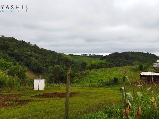 Chácara para Venda em Almirante Tamandaré - 4