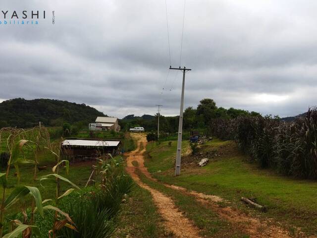 Chácara para Venda em Almirante Tamandaré - 5