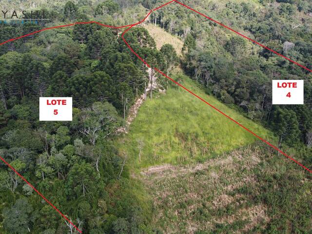 #08155_4 - Chácara para Venda em Campo Largo - PR - 3