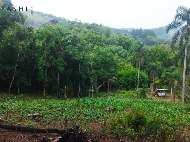 #08195 - Chácara para Venda em Campo Largo - PR - 3