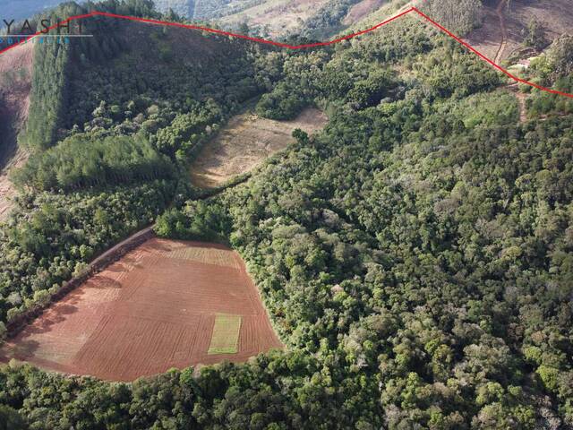 #08239 - Chácara para Venda em Campo Magro - PR - 2