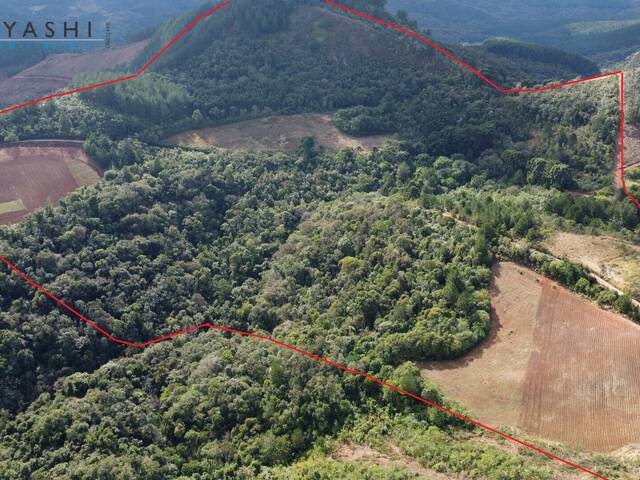 #08239 - Chácara para Venda em Campo Magro - PR - 3