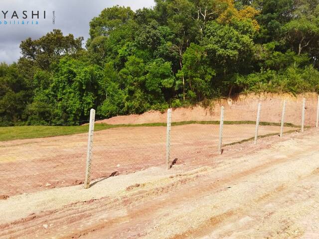#08171 - Área para Venda em Curitiba - PR - 3