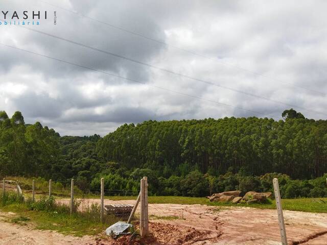 Área para Venda em Curitiba - 4