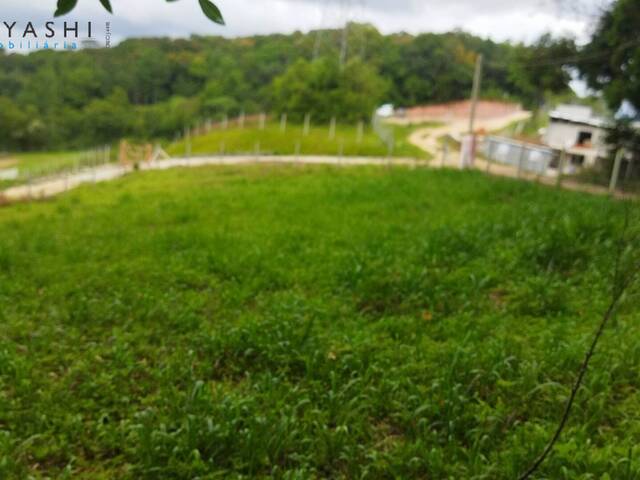 Área para Venda em Curitiba - 5