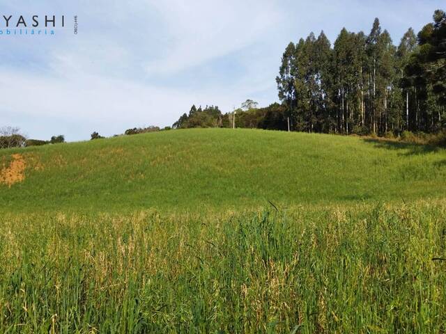 #08205 - Chácara para Venda em Araucária - PR - 1