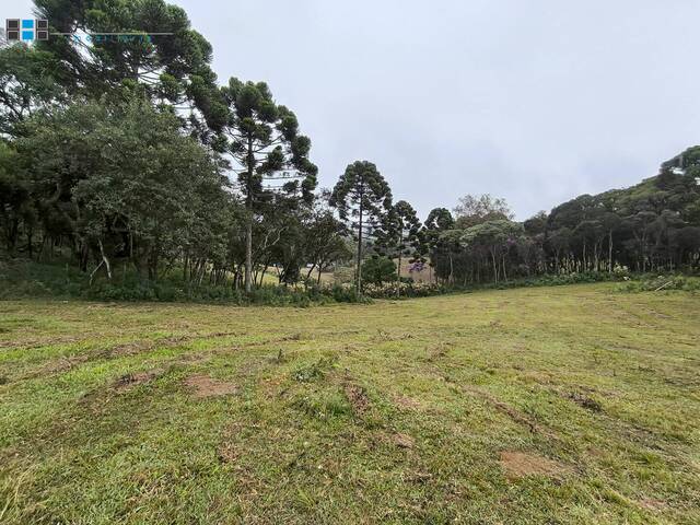#08227 - Chácara para Venda em Quatro Barras - PR - 1