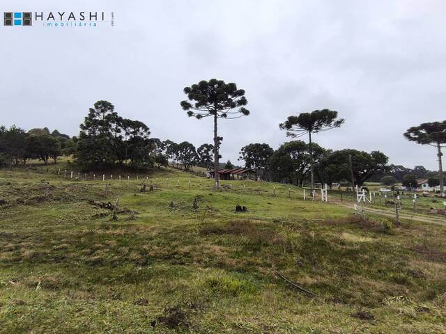 #08227 - Chácara para Venda em Quatro Barras - PR - 2