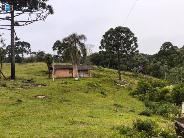 #08227 - Chácara para Venda em Quatro Barras - PR - 3
