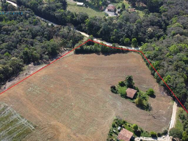 #08243 - Chácara para Venda em Campo Largo - PR - 2