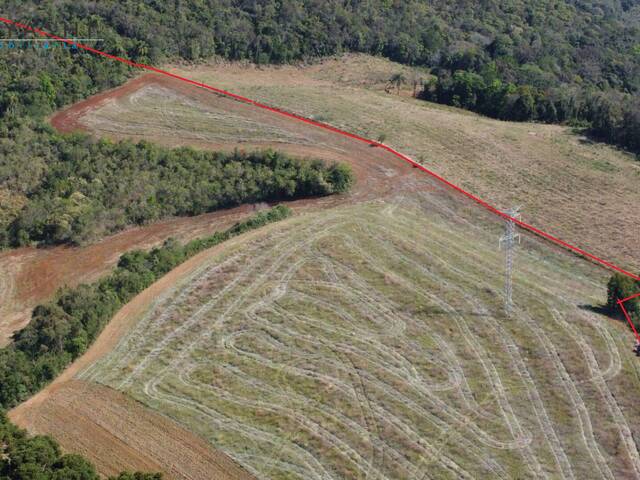 #08243 - Chácara para Venda em Campo Largo - PR - 3